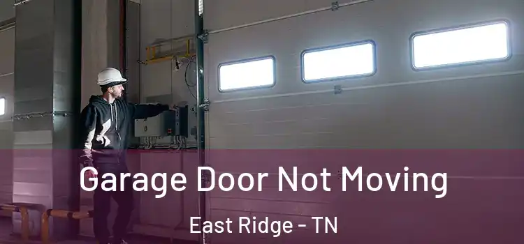  Garage Door Not Moving East Ridge - TN