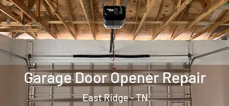  Garage Door Opener Repair East Ridge - TN