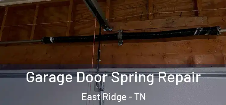  Garage Door Spring Repair East Ridge - TN