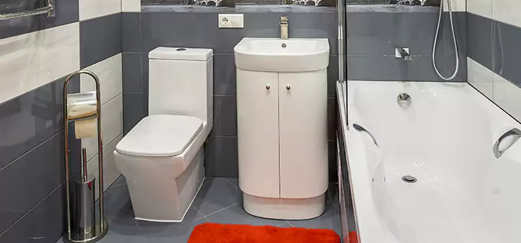 Hansgrohe Shaving Mirror East Ridge