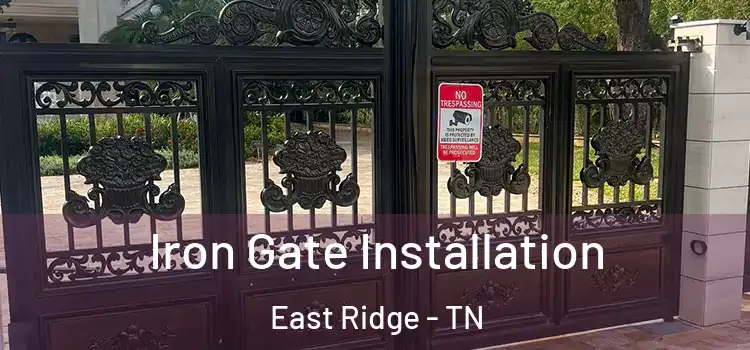  Iron Gate Installation East Ridge - TN