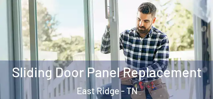  Sliding Door Panel Replacement East Ridge - TN