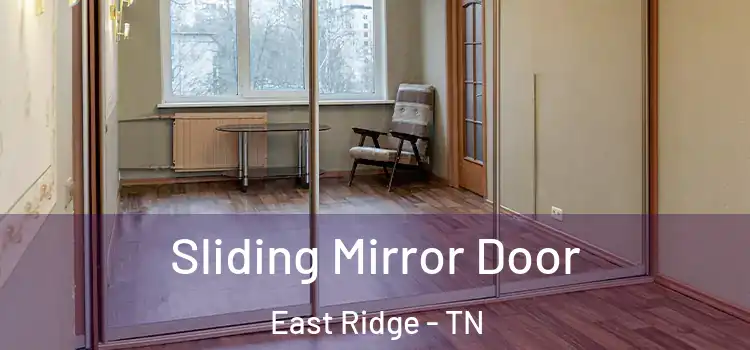  Sliding Mirror Door East Ridge - TN