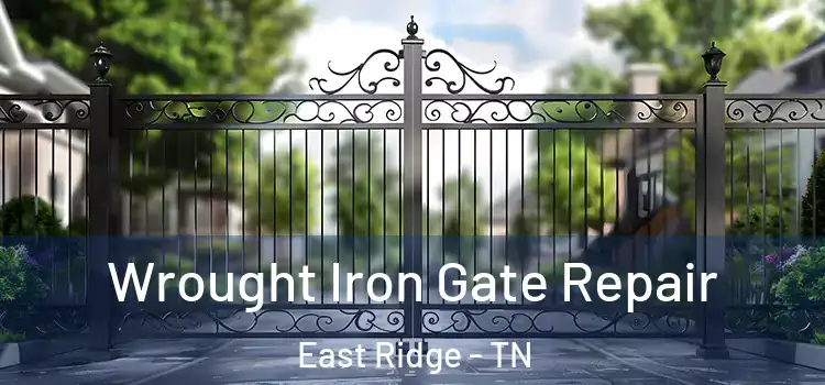  Wrought Iron Gate Repair East Ridge - TN